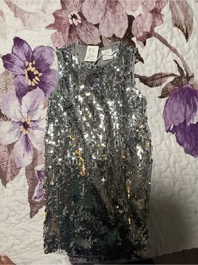 Zara Silver Sequin Sleeveless Shift Dress